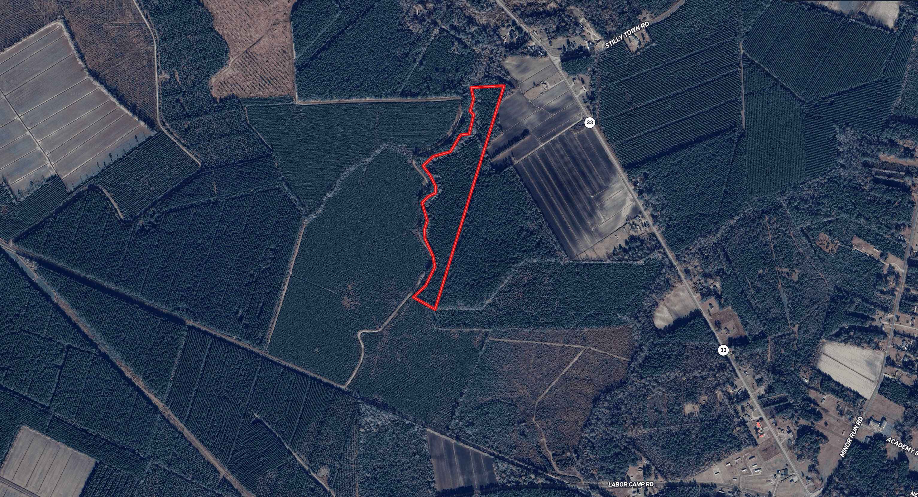 NC Timber/Hunting Land for Sale
